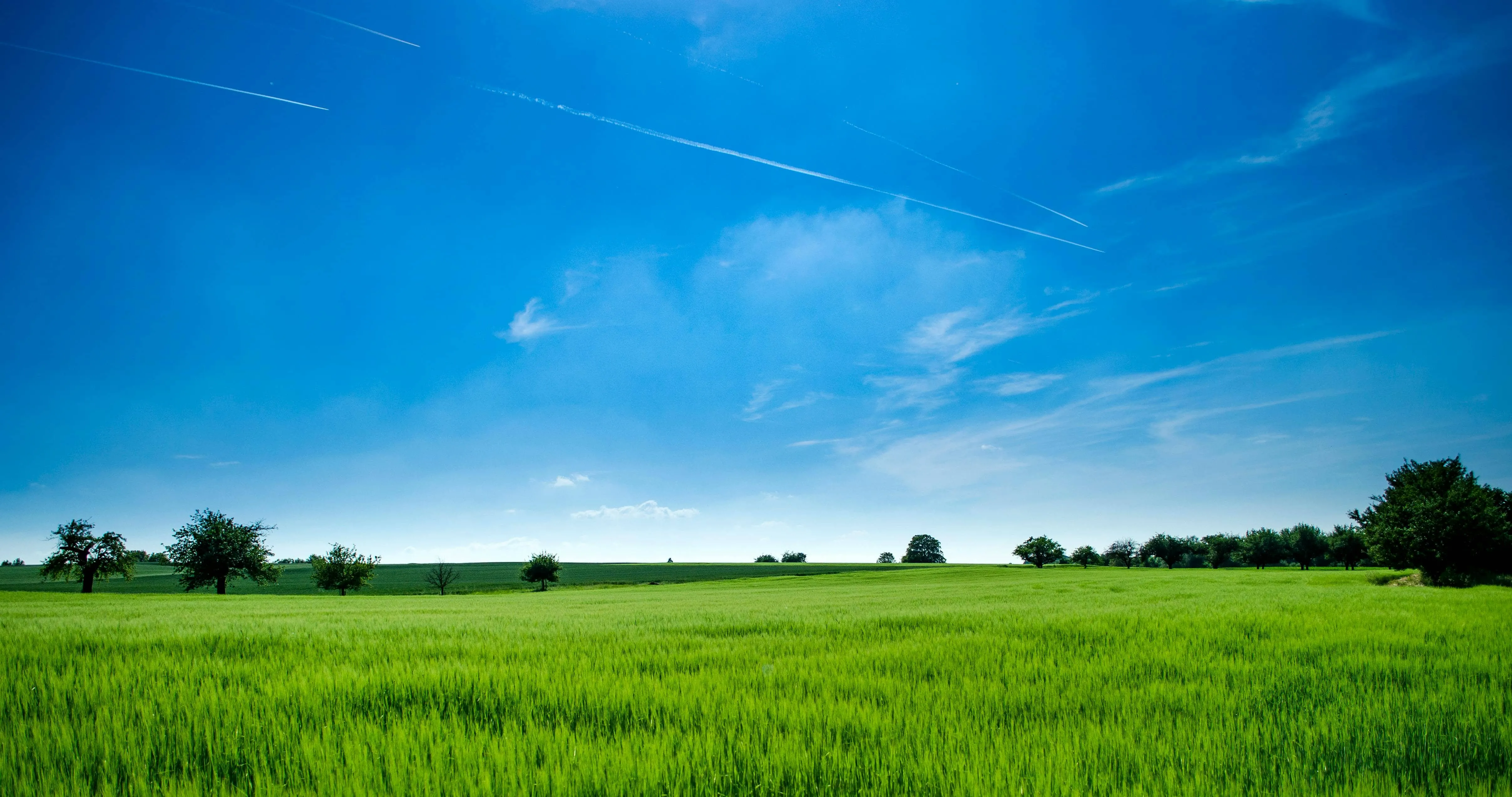 Campagne paisible et verdoyante avec un joli ciel bleu