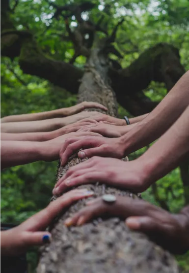 Plusieurs mains posées sur un tronc d'arbre dans une forêt, symbolisant l'unité et la connexion avec la nature